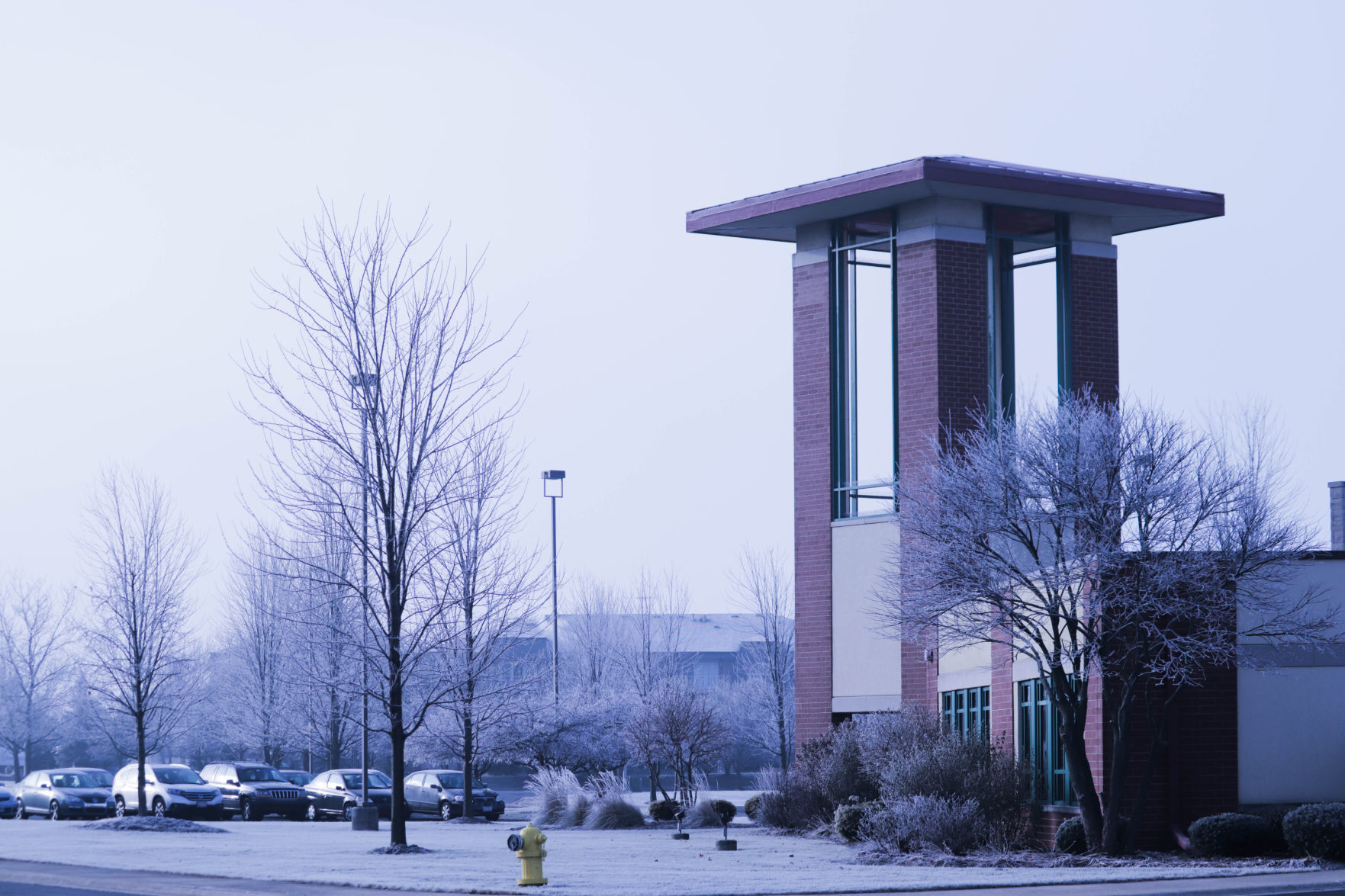 Frosty morning
